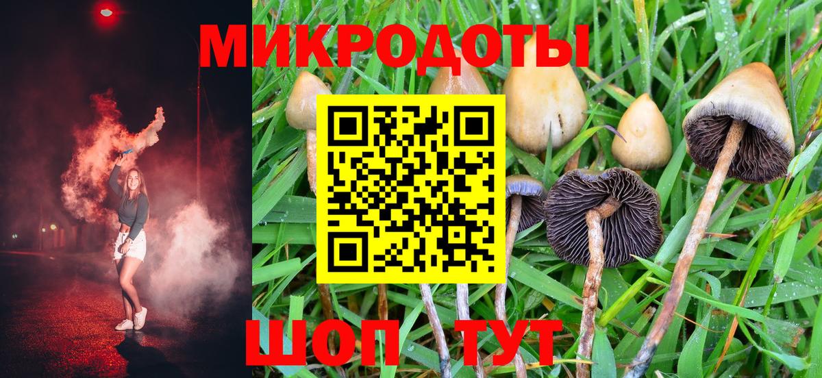 Псилоцибиновые грибы ЛСД  даркнет сайт  Новокубанск  Вход с VPN 