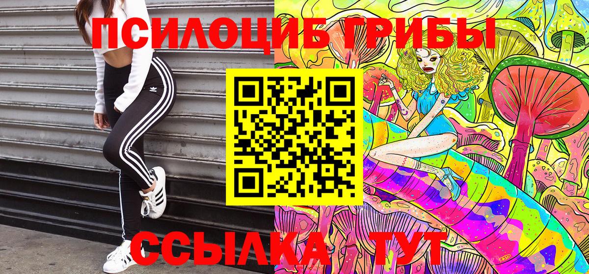 Псилоцибиновые грибы мицелий Новокубанск